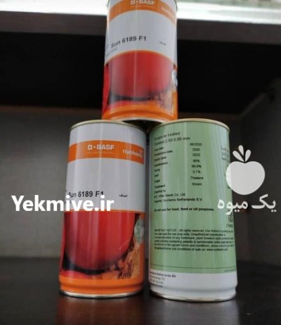 فروش بذر گوجه فضای باز وارداتی در رشت در گروه خرید و فروش بذر گوجه در یکمیوه -عکس1