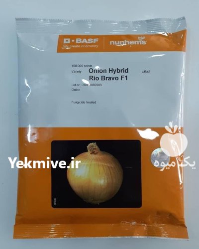 فروش بذر پیاز Bravo نانهمز هلند در گروه خرید و فروش بذر پیاز در یکمیوه -عکس1