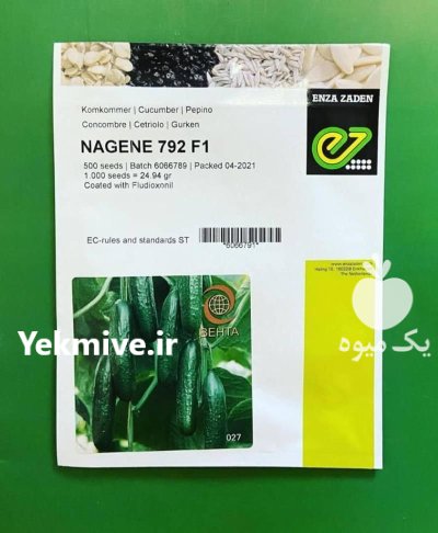 بذر خیار گلخانه ای ناگین بهترین در گروه خرید و فروش بذر خیار در یکمیوه -عکس1