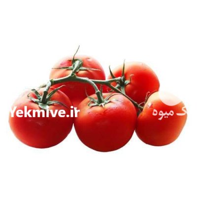 بذر گوجه گلخانه ای ازمیر سینجنتا در گروه خرید و فروش بذر گوجه در یکمیوه -عکس3