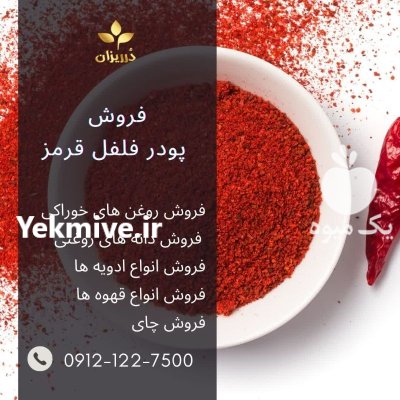 فروش پودر فلفل قرمز هندی چینی در گروه خرید و فروش ادویه در یکمیوه -عکس1