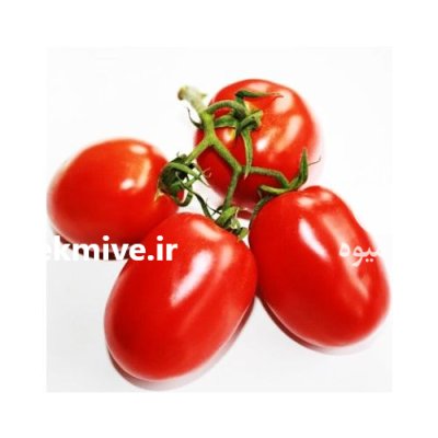 بذر گوجه متین در سمنان در گروه خرید و فروش بذر گوجه در یکمیوه -عکس3