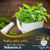 قیمت خرید روغن ریحان در تهران در گروه خرید و فروش انواع روغن در یکمیوه