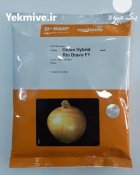 فروش بذر پیاز Bravo نانهمز هلند در گروه خرید و فروش بذر پیاز در یکمیوه