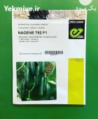 بذر خیار گلخانه ای ناگین بهترین در گروه خرید و فروش بذر خیار در یکمیوه