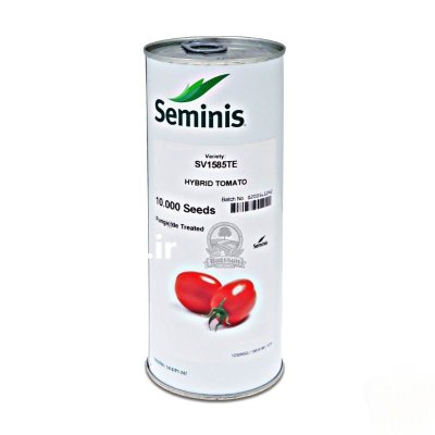 بذر گوجه 1585 SV 1585 TE سمینیس در تهران در گروه خرید و فروش بذر گوجه در یکمیوه -عکس1