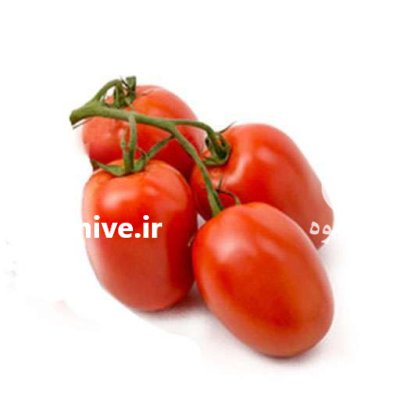 بذر گوجه مارول دیاموندسید ز در اهواز در گروه خرید و فروش بذر گوجه در یکمیوه -عکس4