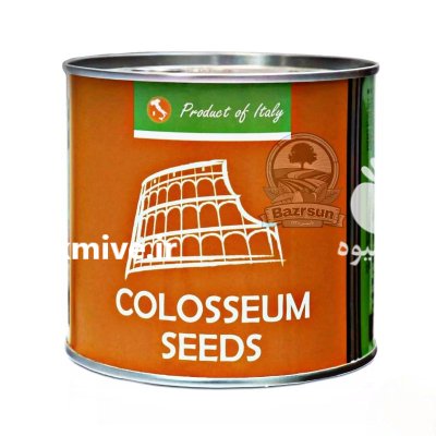 فروش بذر گوجه مالکوم در گروه خرید و فروش بذر گوجه در یکمیوه -عکس3