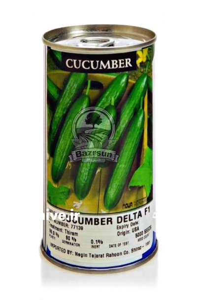 بذر خیار دلتا اینفینیتی سیدز در ارومیه در گروه خرید و فروش بذر خیار در یکمیوه -عکس2