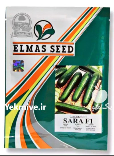 بذر خیار سارا الماس سید در گروه خرید و فروش بذر خیار در یکمیوه -عکس1
