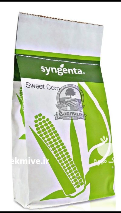 بذر ذرت شیرین اکسنچویت سینجنتا در اصفهان در گروه خرید و فروش بذر ذرت در یکمیوه -عکس1
