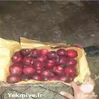 سیب مراغه سردخانه ای در گروه خرید و فروش سیب در یکمیوه