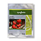 بذر گوجه باروسور سینجنتا در تاکستان در گروه خرید و فروش بذر گوجه در یکمیوه