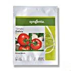 بذر گوجه دافنیس سینجنتا در گروه خرید و فروش بذر گوجه در یکمیوه