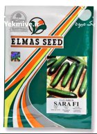 بذر خیار سارا الماس سید در گروه خرید و فروش بذر خیار در یکمیوه