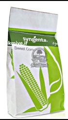 بذر ذرت شیرین اکسنچویت سینجنتا در اصفهان در گروه خرید و فروش بذر ذرت در یکمیوه