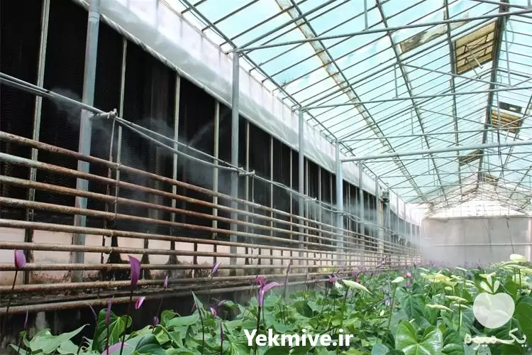 قیمت خرید پد کولر گلخانه ای در گروه خرید و فروش تجهیزات گلخانه در یکمیوه -عکس1