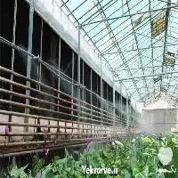 قیمت خرید پد کولر گلخانه ای در گروه خرید و فروش تجهیزات گلخانه در یکمیوه