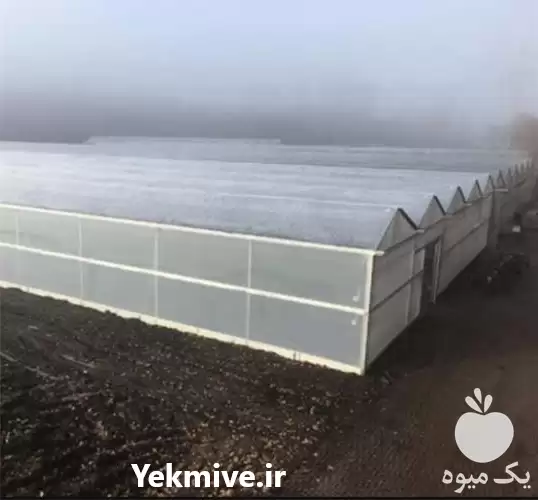 فروش توری ضدحشره هندی در تهران در گروه خرید و فروش توری گلخانه در یکمیوه -عکس1