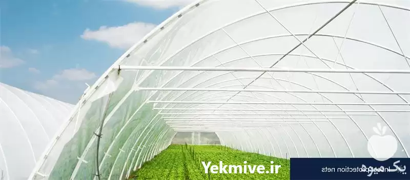 خرید توری مقاوم حشره گیر در تهران در گروه خرید و فروش توری گلخانه در یکمیوه -عکس1