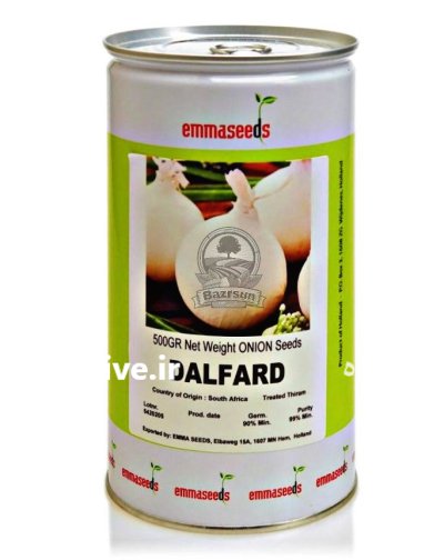 بذر پیاز سفید دلفارد اماسیدز در گروه خرید و فروش بذر پیاز در یکمیوه -عکس1