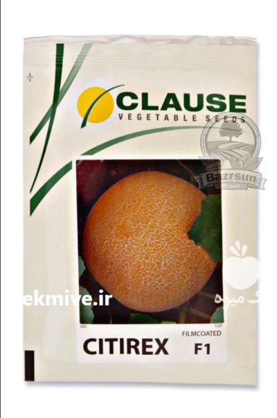 بذر خربزه گالیا سیتیرکس کلوز در گروه خرید و فروش بذر خربزه در یکمیوه -عکس1