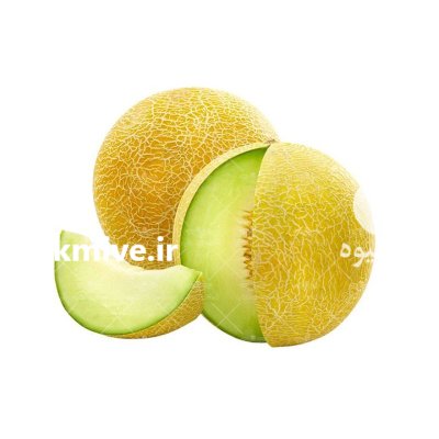 بذر خربزه گالیا HMC 462053 در بندرگناوه در گروه خرید و فروش بذر خربزه در یکمیوه -عکس1