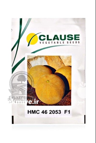 بذر خربزه گالیا HMC 462053 در بندرگناوه در گروه خرید و فروش بذر خربزه در یکمیوه -عکس2