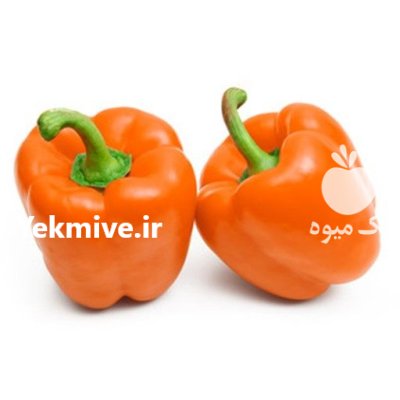 بذر فلفل دلمه رنگی چیدم سینجنتا در گروه خرید و فروش بذر فلفل در یکمیوه -عکس2