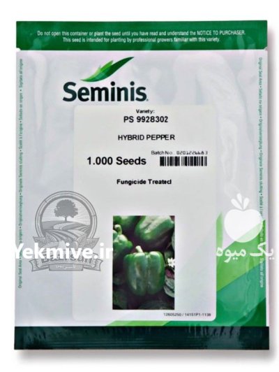 بذر فلفل دلمه 302 سمینیس PS 9928302 در بانه در گروه خرید و فروش بذر فلفل در یکمیوه -عکس1