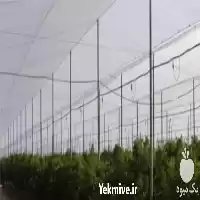 قیمت خرید بزرگ ترین سازنده توری در گروه خرید و فروش توری گلخانه در یکمیوه