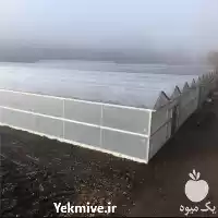 فروش توری ضدحشره هندی در تهران در گروه خرید و فروش توری گلخانه در یکمیوه