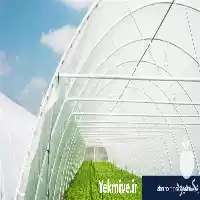 خرید توری مقاوم حشره گیر در تهران در گروه خرید و فروش توری گلخانه در یکمیوه