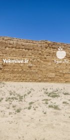 کلش پرس کوچک در کبودرآهنگ در گروه خوراک دام و طیور در یکمیوه