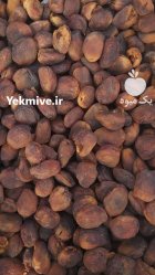 آگهی مشابه فروش آلو زردالو در ارومیه در گروه خرید و فروش زردآلو در یکمیوه