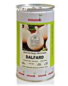 بذر پیاز سفید دلفارد اماسیدز در گروه خرید و فروش بذر پیاز در یکمیوه