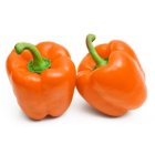 بذر فلفل دلمه پلاتو سمینیس در گروه خرید و فروش بذر فلفل در یکمیوه