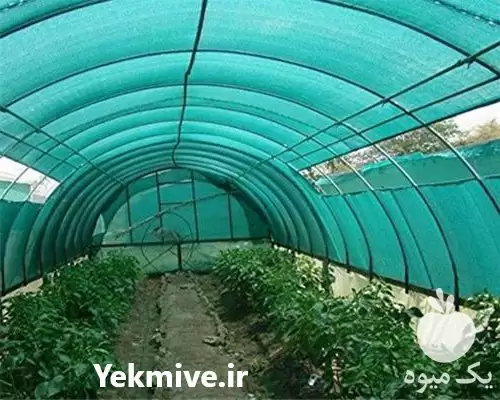 عرضه فروش توری سایبان توری شید در تهران در گروه خرید و فروش توری گلخانه در یکمیوه -عکس1