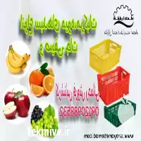 قیمت خرید سبد پلاستیکی میوه در گروه خرید و فروش انواع سبد در یکمیوه