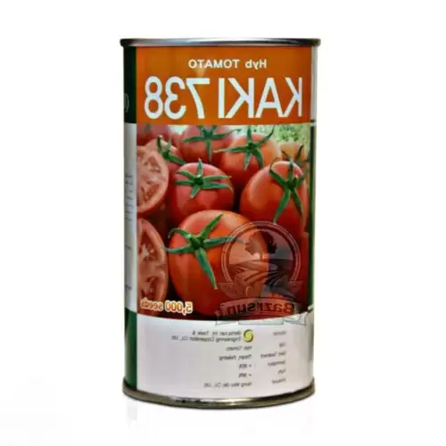 فروش بذر گوجه فرنگی کاکی 738 در اصفهان در گروه خرید و فروش بذر گوجه در یکمیوه -عکس1