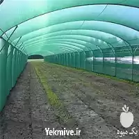 فروش تولید شید گلخانه با گارانتی در تهران در گروه خرید و فروش توری گلخانه در یکمیوه