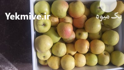 سیب زرد مراغه در آذربایجان شرقی در گروه خرید و فروش سیب در یکمیوه -عکس1