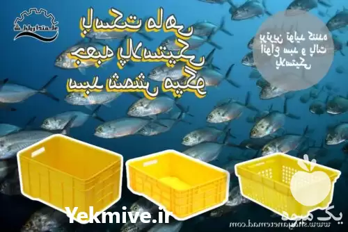 فروش جعبه پلاستیکی ماهی در هرمز در گروه خرید و فروش انواع سبد در یکمیوه -عکس1