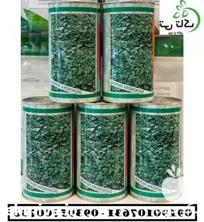 قیمت خرید بذر چمن دایکوندرا در گروه خرید و فروش بذر چمن در یکمیوه -عکس1