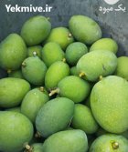 انبه کال در گروه خرید و فروش انبه در یکمیوه