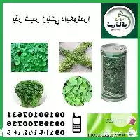 قیمت خرید بذر چمن دایکوندرا در تهران در گروه خرید و فروش بذر چمن در یکمیوه