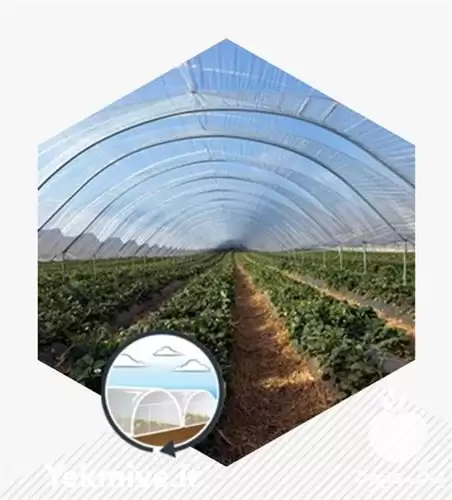 فروش نایلون گلخانه در مشهد در گروه خرید و فروش بسته بندی نایلونی در یکمیوه -عکس1