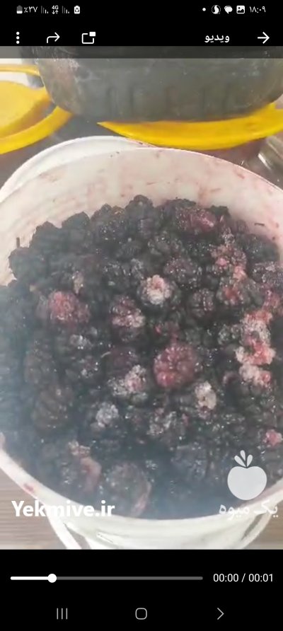 شاتوت سیاه تازه 85 یونجه و شبدر در سنندج در گروه خرید و فروش توت در یکمیوه -عکس1