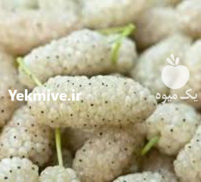 تامین فروش محصولات باغی شرکت بازرگانی سبلان صبای تبریز در گروه فرآورده های آلو و آلوچه در یکمیوه -عکس1