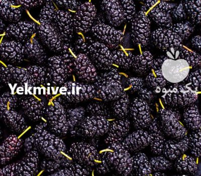 تامین فروش محصولات باغی شرکت بازرگانی سبلان صبای تبریز در گروه فرآورده های آلو و آلوچه در یکمیوه -عکس3